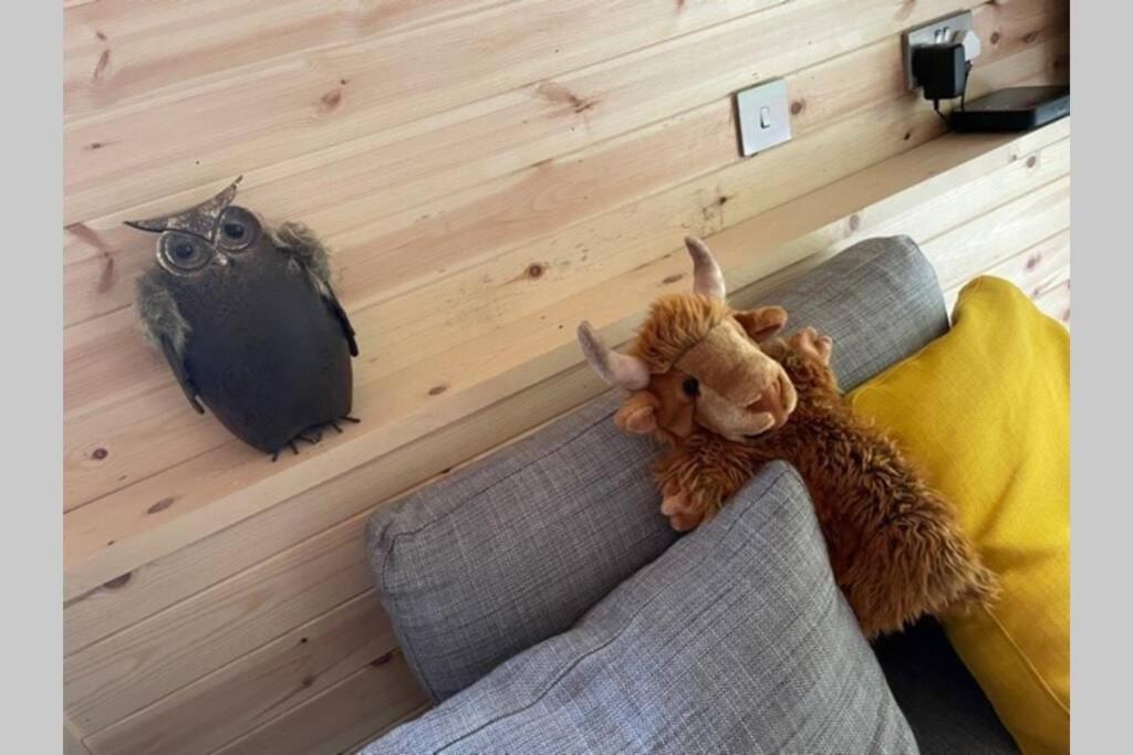 Coorie Doon Cabin! Great Scottish Welcome Fort Augustus Eksteriør bilde