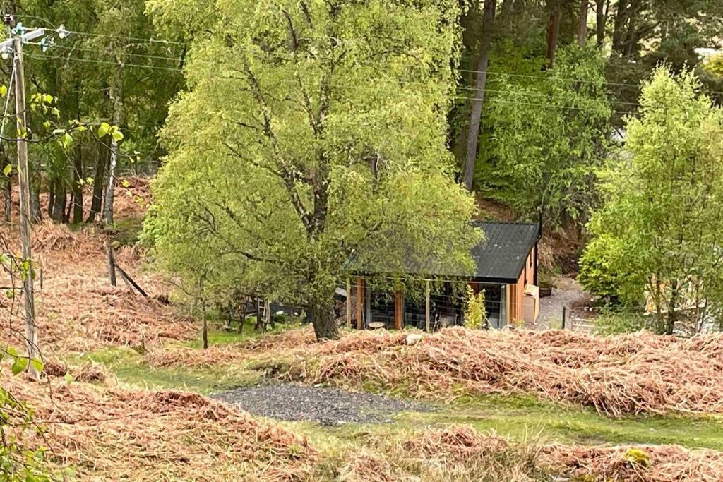 Coorie Doon Cabin! Great Scottish Welcome Fort Augustus Eksteriør bilde